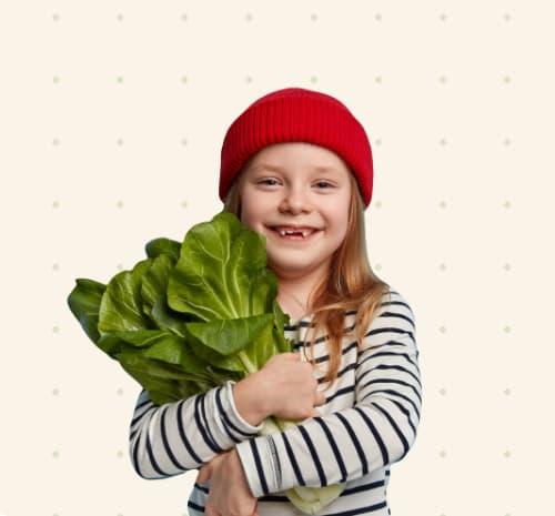 VEGGIEBOOST