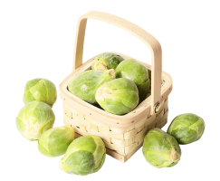 cabbage