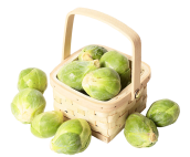 cabbage
