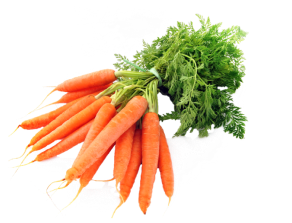 Carrot