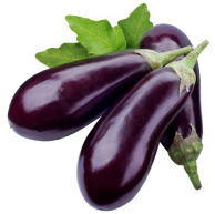 Eggplant