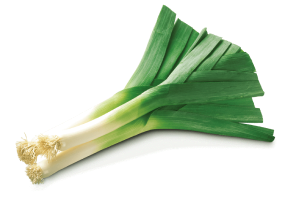 Leek