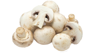 Mushrooms