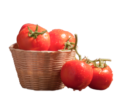 tomato